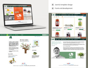 Modern Herbal Group website design